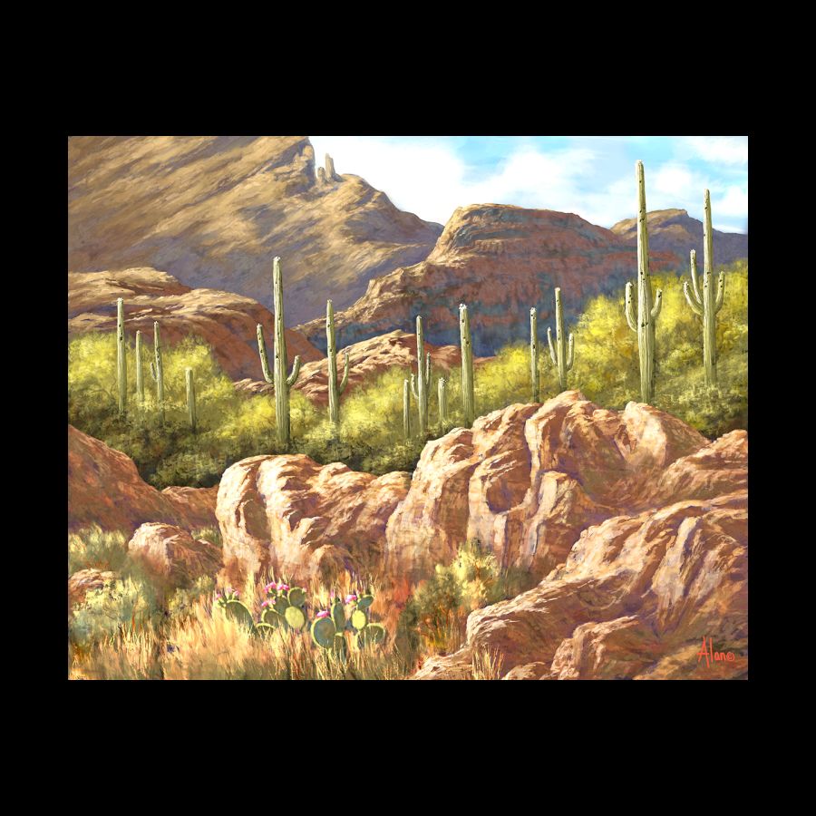 Catalina Foothills